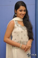 Samskrithi at Hrudayam Ekkadunnadi Audio Launch